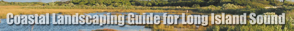 Coastal Guide Banner