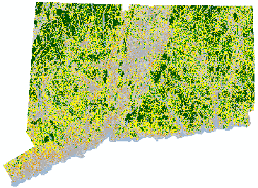 CT 2006 Forest Fragmentation