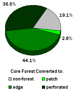Core Forest Pie