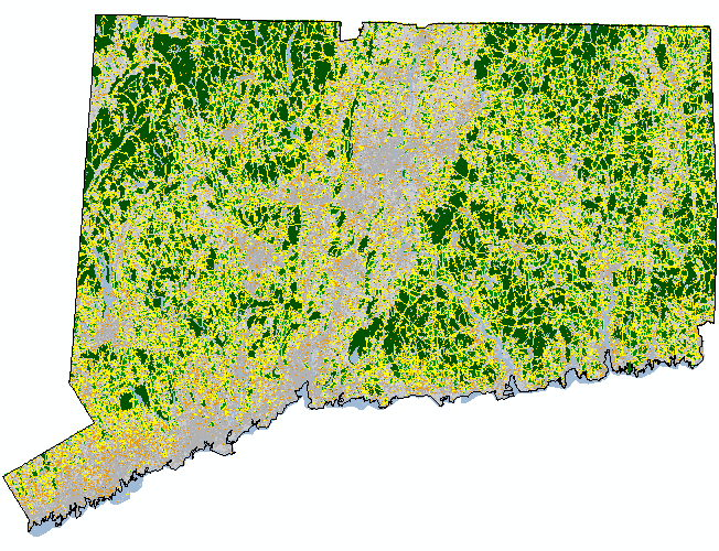 1990 CT Forest Fragmentation