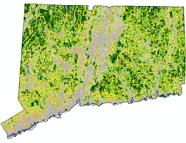2006 CT Forest Fragmentation