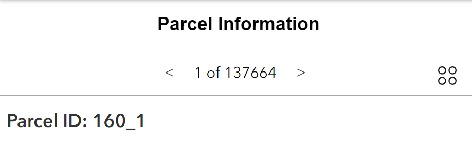 Parcel Info panel